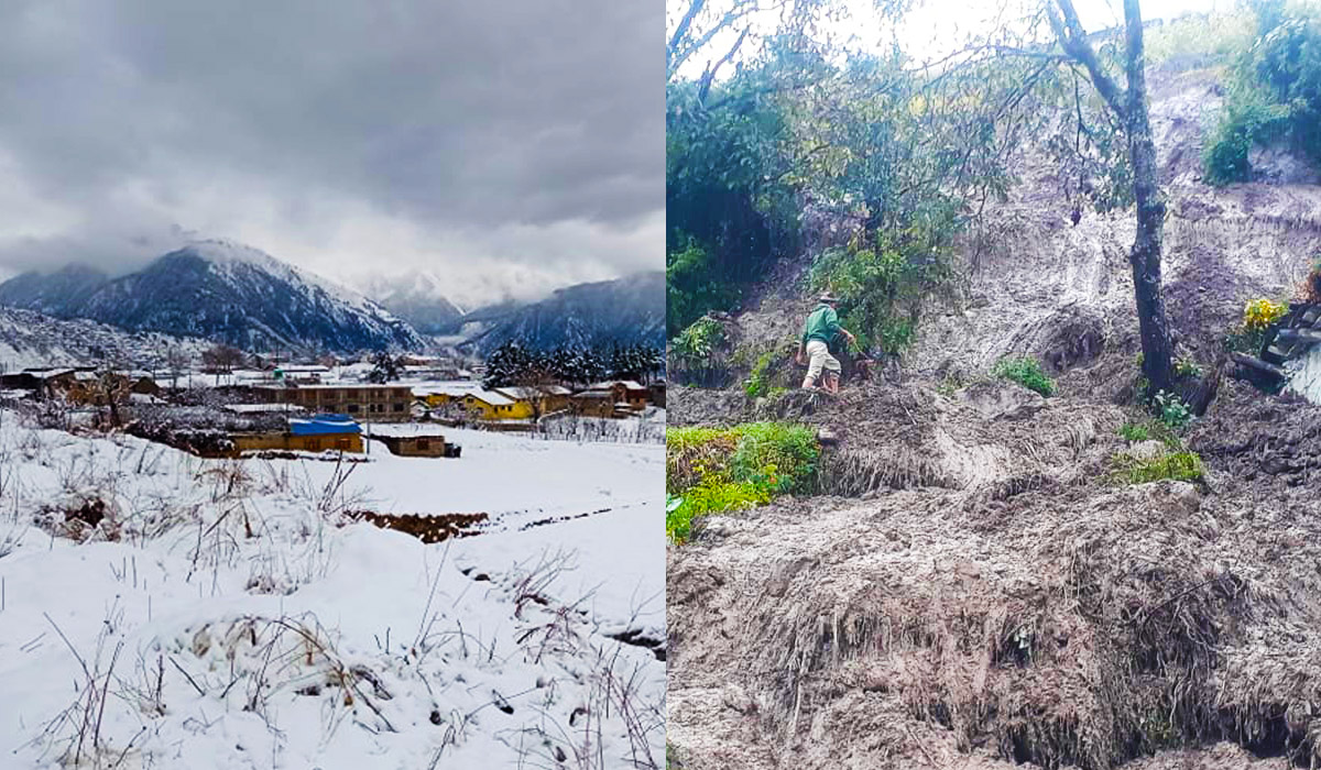 हुम्लामा भारी हिमपात, भित्र्याउन तयार बाली बाढीपहिरोले लग्यो (तस्बिरसहित)